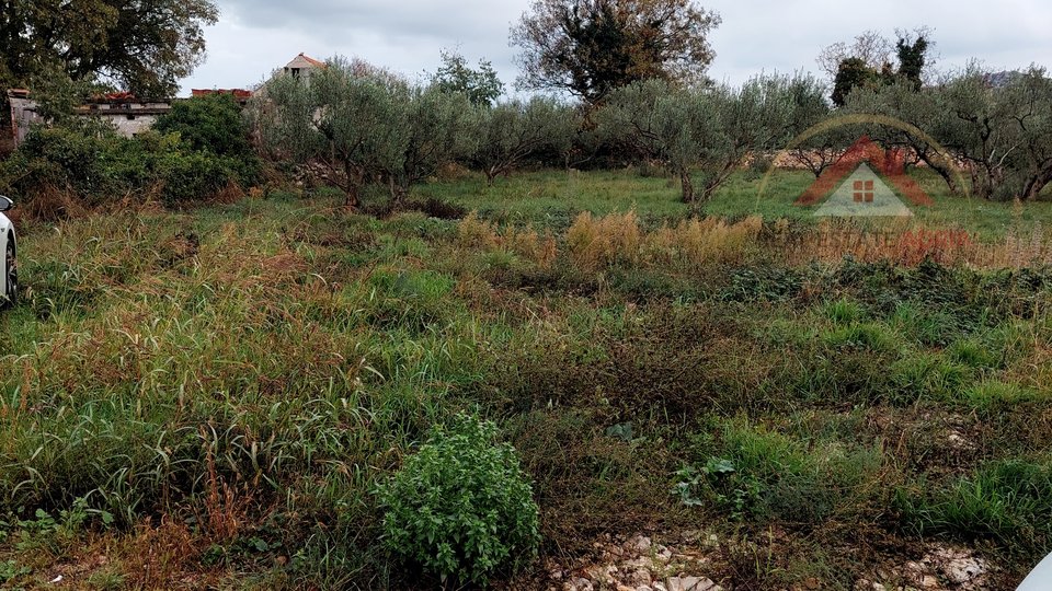 Baugrundstück in Dragi, Gespanschaft Zadar, Kroatien