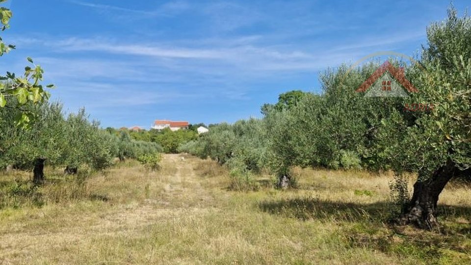 8 plots of building land for sale in Benkovac with a total area of 3837 m2, Zadar County, Croatia