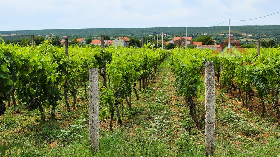 Baugrundstück zum Verkauf in Doni Raštani mit Schwimmbad, Gespanschaft Zadar